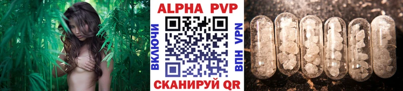 блэк спрут ONION  Ивангород  A-PVP СК КРИС  как найти наркотики 