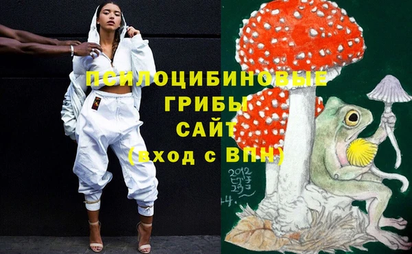 гидра Вязники