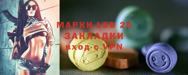 гидра Вязники