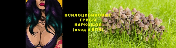 ПСИЛОЦИБИНОВЫЕ ГРИБЫ Вязьма