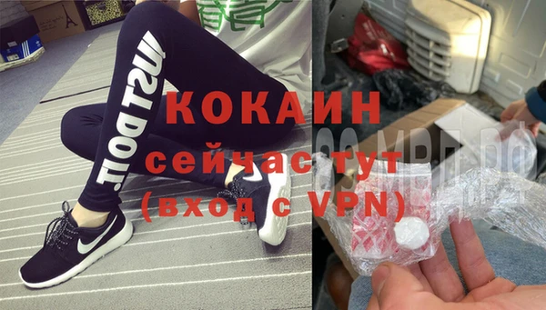 индика Горнозаводск