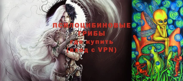 скорость Вяземский