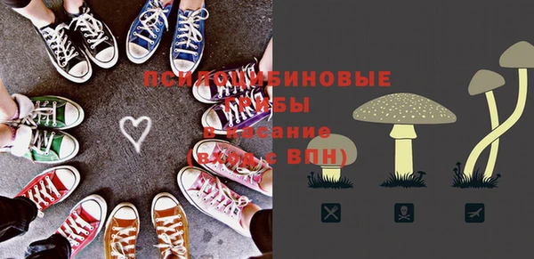 скорость Вяземский