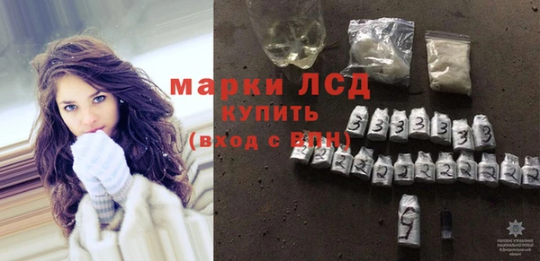 индика Горнозаводск