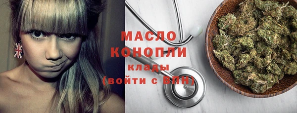 скорость Вяземский
