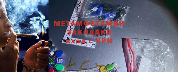 индика Горнозаводск